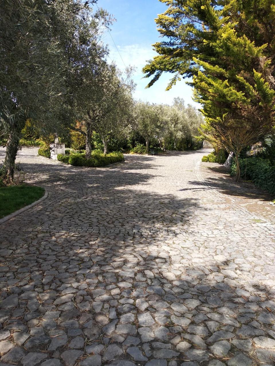 Hotel Quinta Da Telheira Vila Real Exterior foto