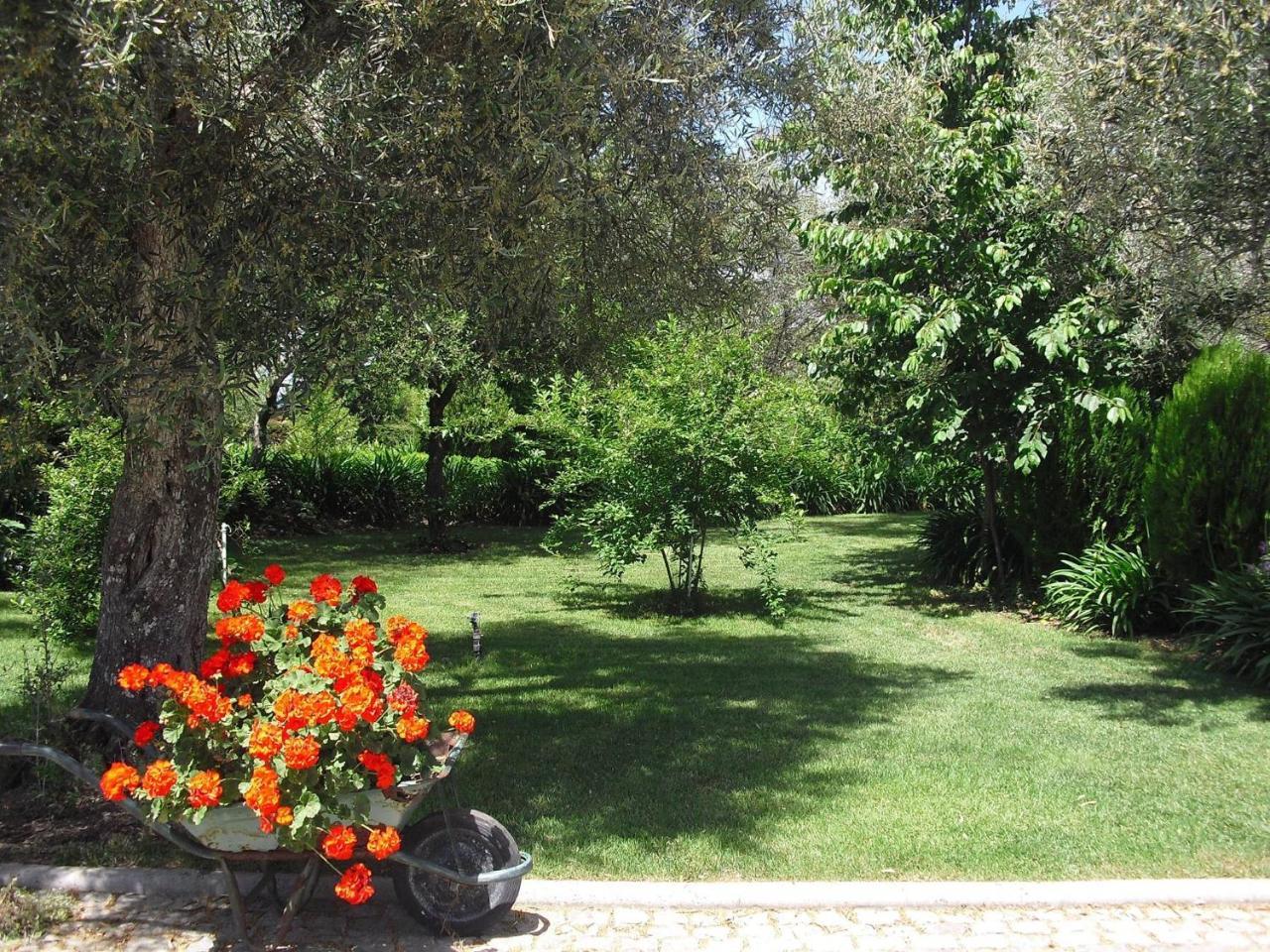 Hotel Quinta Da Telheira Vila Real Exterior foto